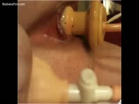 Bizarre video featuring a never before seen teen girl using an object to pleasure her asshole